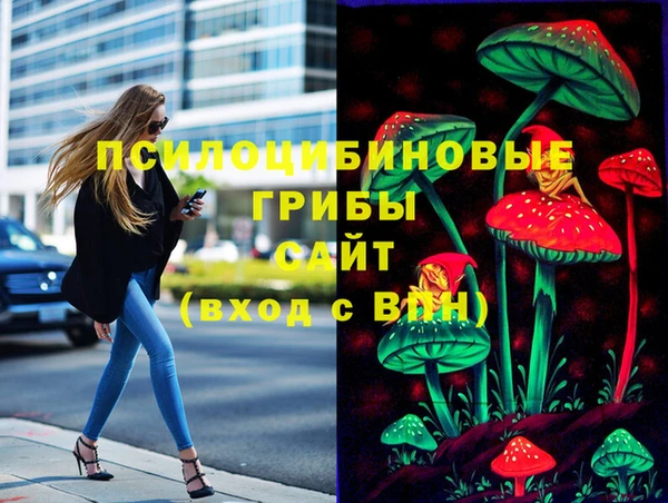 PSILOCYBIN Горняк